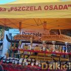 zdjęcie nr 55