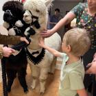 Fot. FUNDACJA POMOCY DZIECIOM W ŻYWCU 