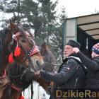 Fotka nr 3 z 172