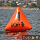 zdjęcie nr 180