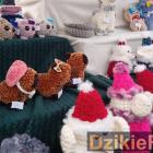 zdjęcie nr 39
