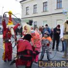 zdjęcie nr 135