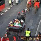 zdjęcie nr 340
