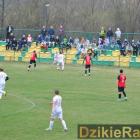 zdjęcie nr 50