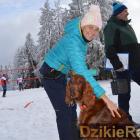 zdjęcie nr 26
