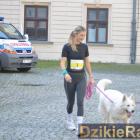 zdjęcie nr 79