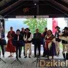 zdjęcie nr 46