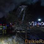 zdjęcie nr 11