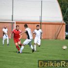 zdjęcie nr 30