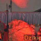 zdjęcie nr 343