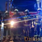 Fotka nr 4 z 16