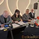 zdjęcie nr 31