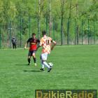 zdjęcie nr 89