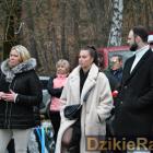 zdjęcie nr 180
