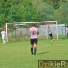 zdjęcie nr 14