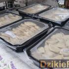 Fotka nr 0 z 172