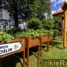 zdjęcie nr 11
