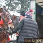 Fotka nr 2 z 172