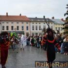 zdjęcie nr 164