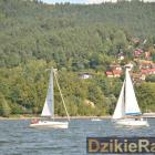 zdjęcie nr 119