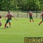 zdjęcie nr 16