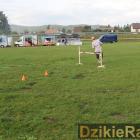zdjęcie nr 316
