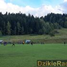 zdjęcie nr 10