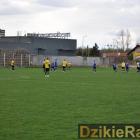 Fotka nr 3 z 111