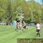 zdjęcie nr 102