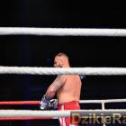 zdjęcie nr 181