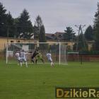 zdjęcie nr 39