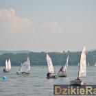 zdjęcie nr 24