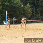 zdjęcie nr 19
