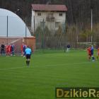 zdjęcie nr 8