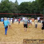 zdjęcie nr 247