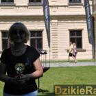 zdjęcie nr 12