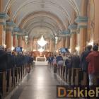 zdjęcie nr 243