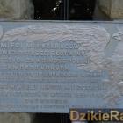 fot. DzikieRadio