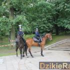 zdjęcie nr 32