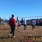 zdjęcie nr 247