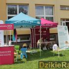 zdjęcie nr 33
