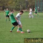 zdjęcie nr 53