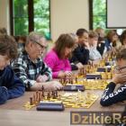 Fotka nr 1 z 17