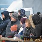 zdjęcie nr 73