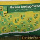 zdjęcie nr 193