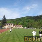 zdjęcie nr 12
