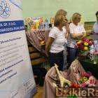 zdjęcie nr 104