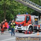 zdjęcie nr 81