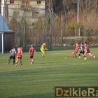zdjęcie nr 12
