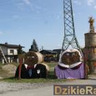 zdjęcie nr 181